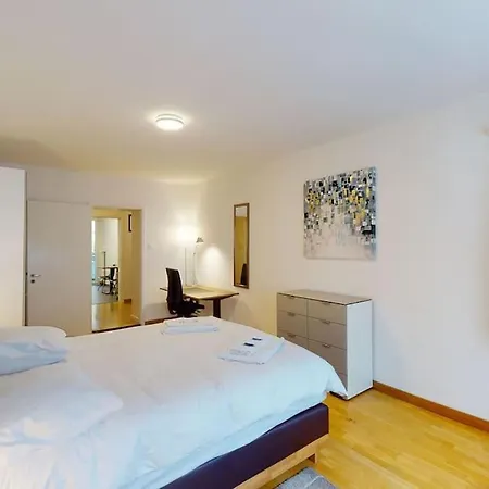 Terrific 2bd Flat Near Center And - 5 * Zurigo