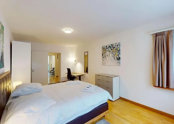 Terrific 2bd Flat Near Center And - 5 * Zurich